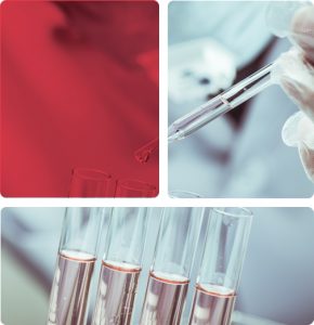 About - Polypharm Private Limited